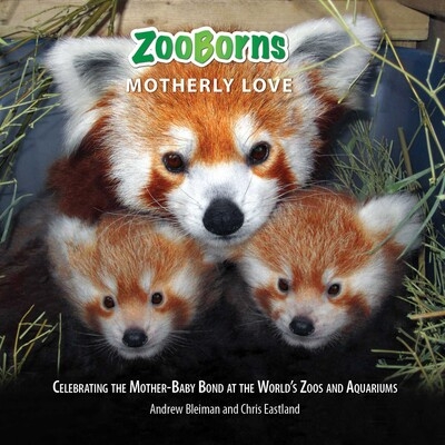 ZooBorns Motherly Love